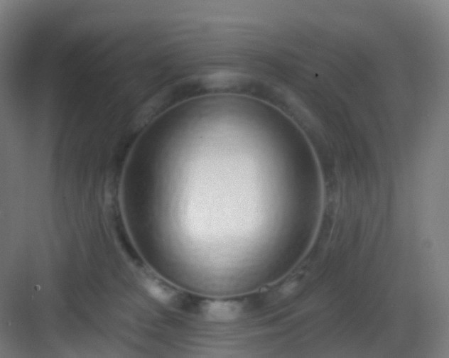 X0000083020277200702091325