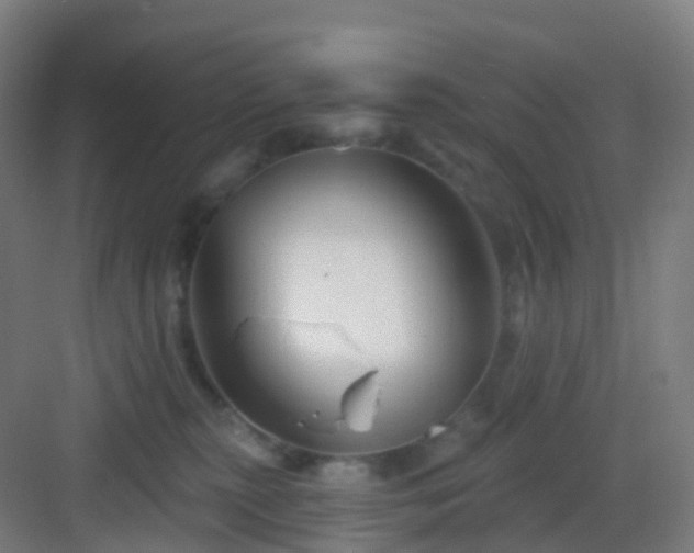 X0000083020279200702091325