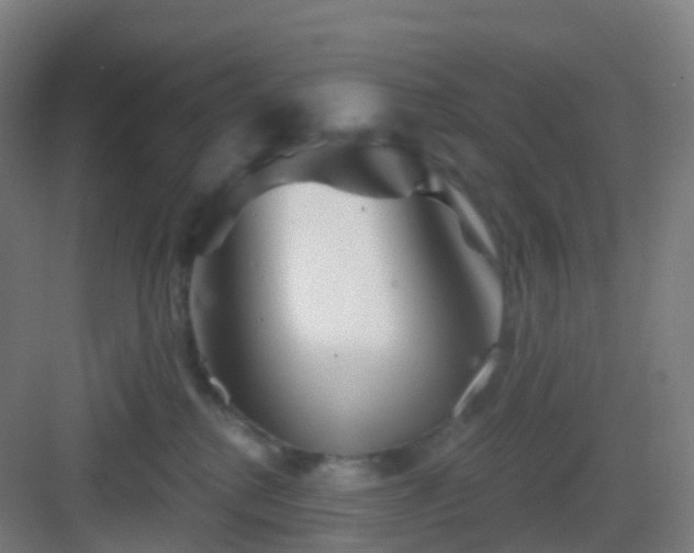 X0000083020280200702091325