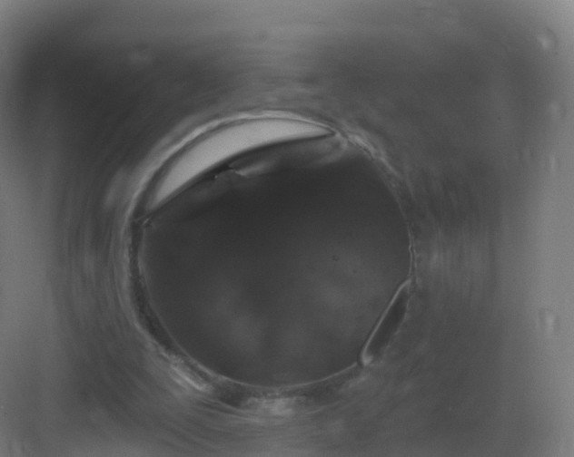 X0000083020295200702091324