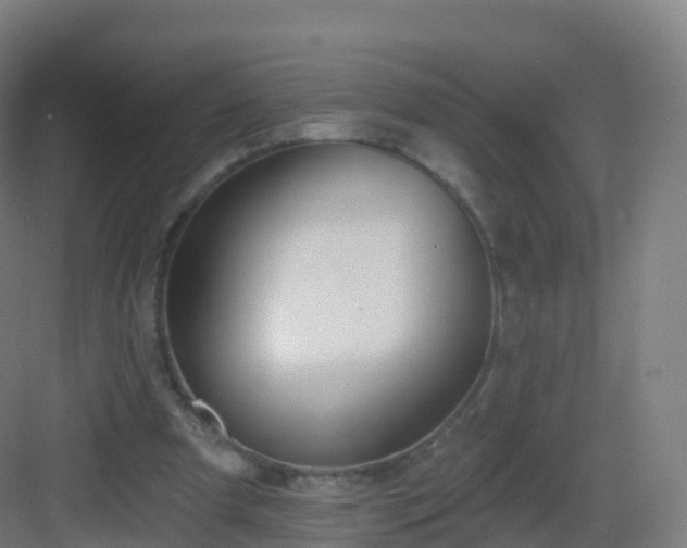 X0000083020297200702091324