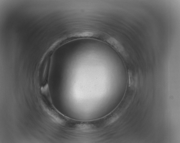 X0000083020300200702091324