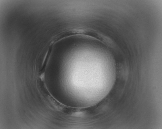 X0000083020312200702091324