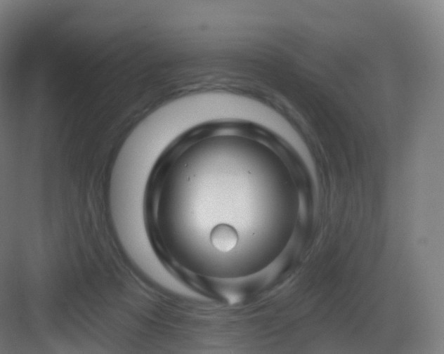 X0000083020313200702091324