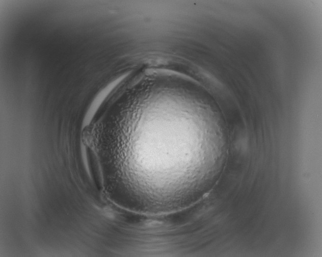 X0000083020315200702091324