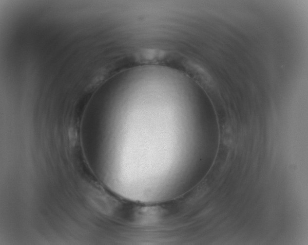X0000083020324200702091323
