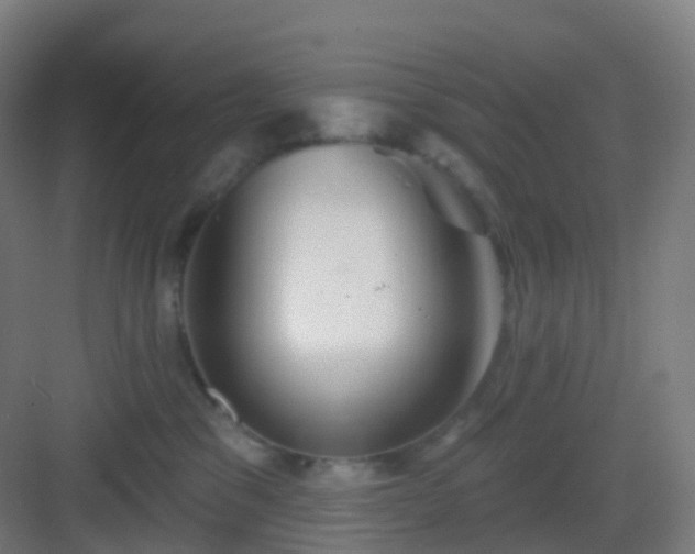 X0000083020329200702091323