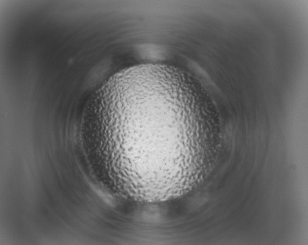 X0000083020330200702091323