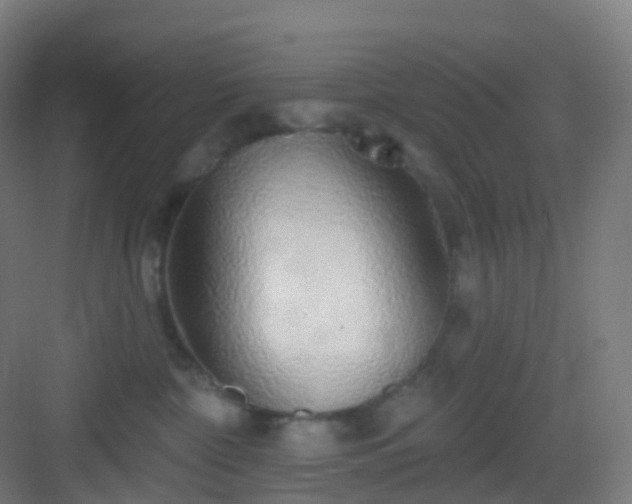 X0000083020332200702091323