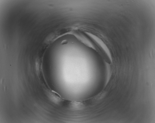 X0000083020333200702091323