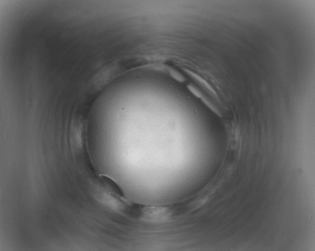 X0000083020334200702091323