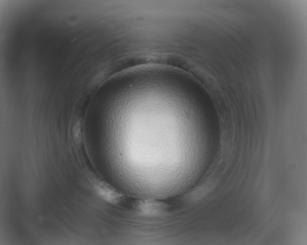 X0000083020336200702091323