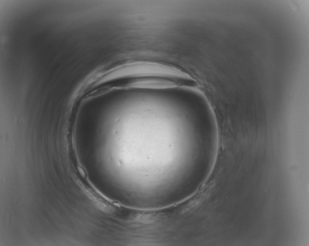 X0000083020341200702091323