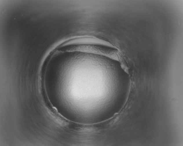 X0000083020342200702091323