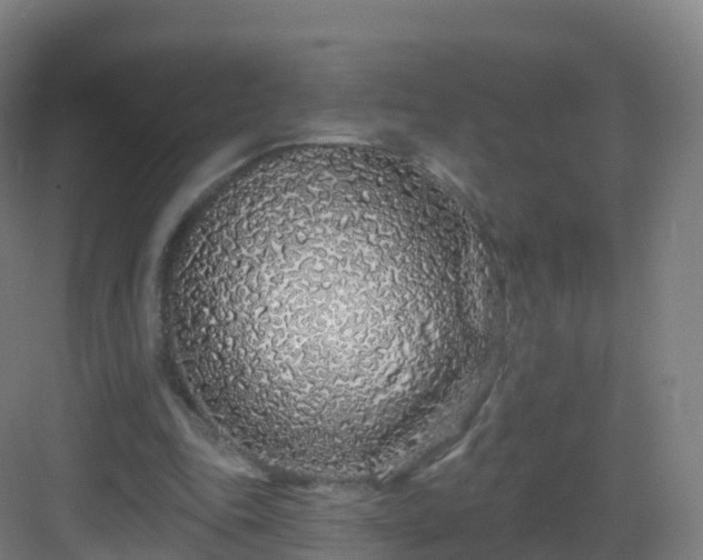 X0000083020343200702091323