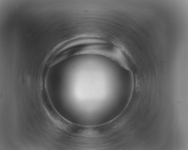 X0000083020348200702091323