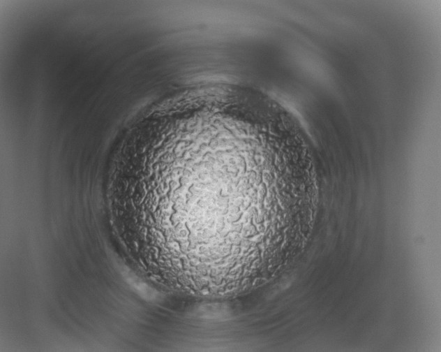 X0000083020353200702091323