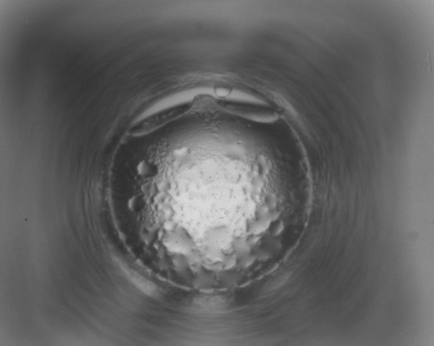X0000083020357200702091323