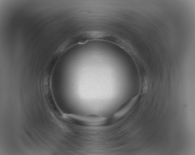 X0000083020360200702091323