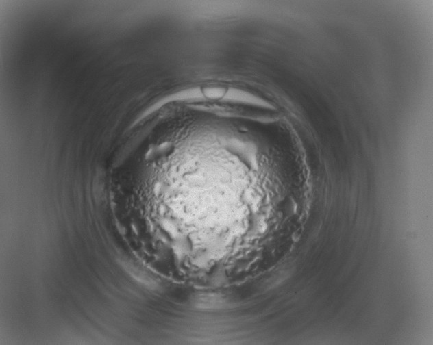 X0000083020361200702091323