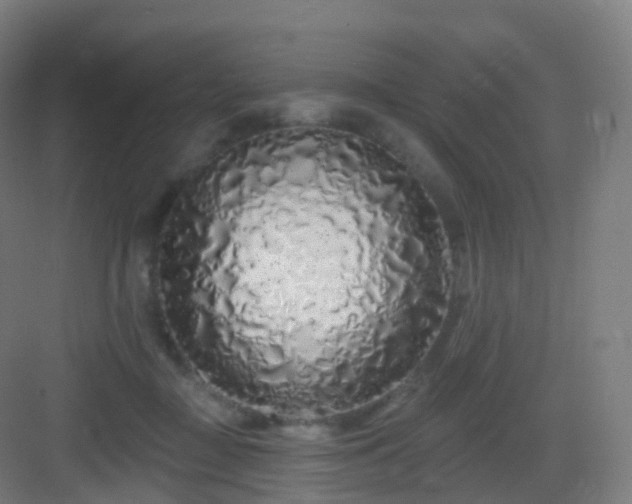 X0000083020363200702091323