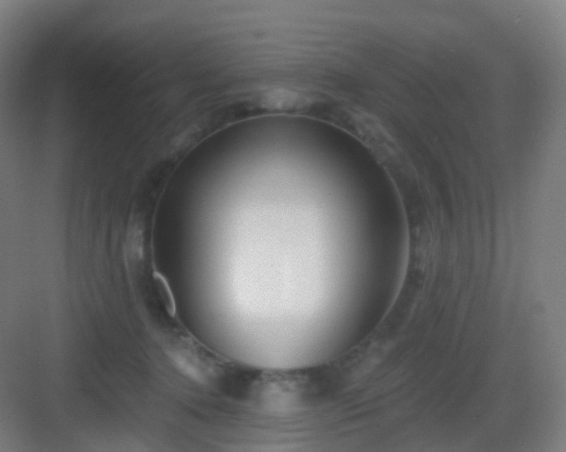 X0000083020368200702091323