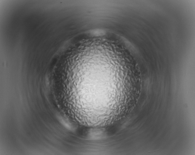 X0000083020373200702091323