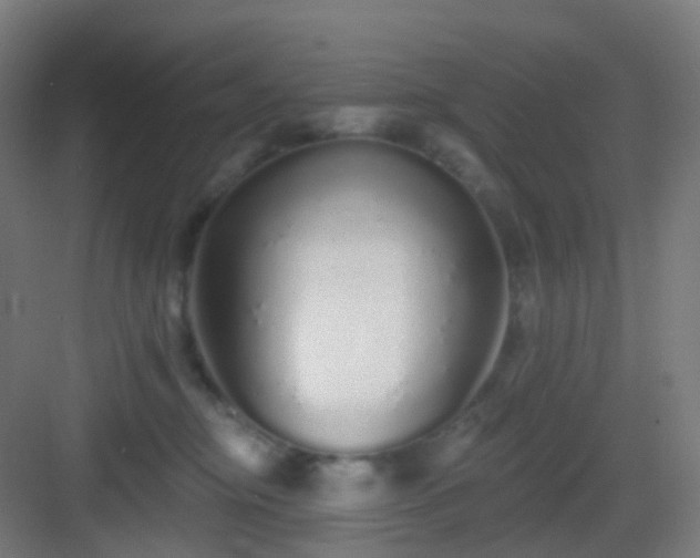 X0000083020374200702091323