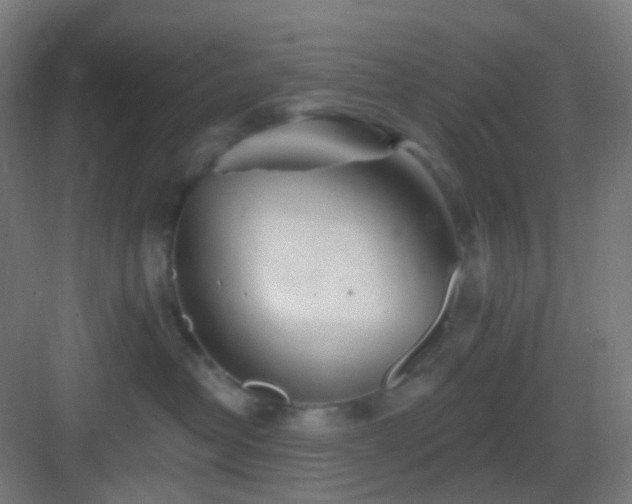 X0000083020382200702091323