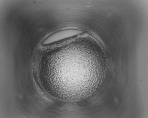 X0000083020386200702091322