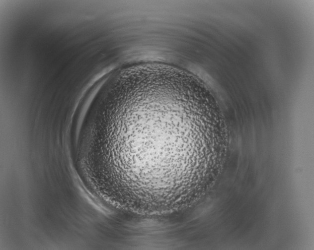 X0000083020390200702091322