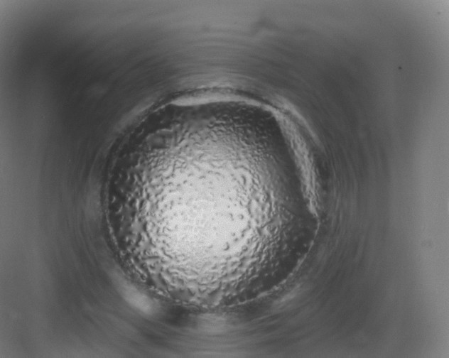 X0000083020394200702091322