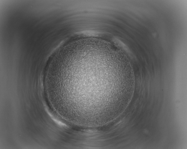 X0000083020398200702091322