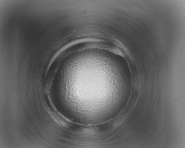 X0000083020405200702091322