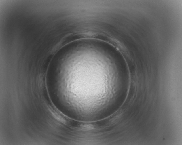 X0000083020409200702091322