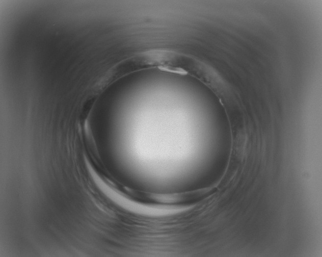 X0000083020413200702091322
