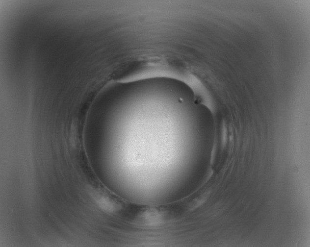 X0000083020416200702091322