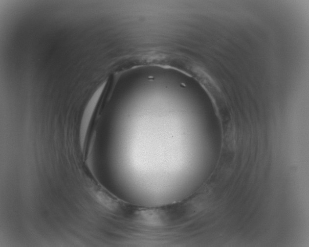 X0000083020417200702091322