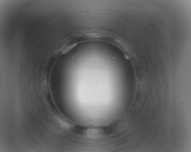 X0000083020418200702091322