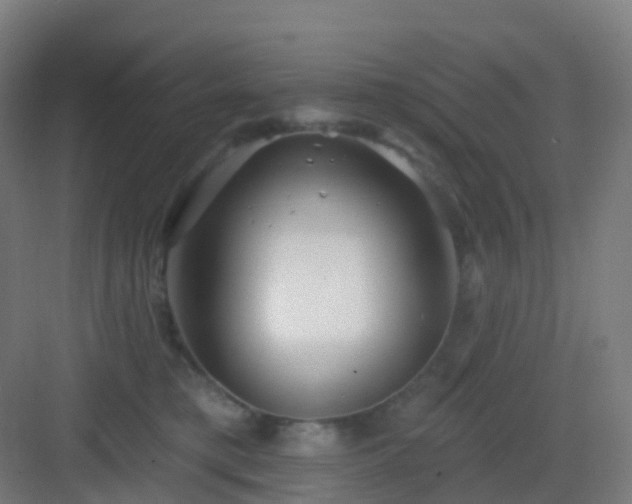 X0000083020421200702091322