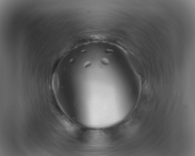 X0000083020424200702091322