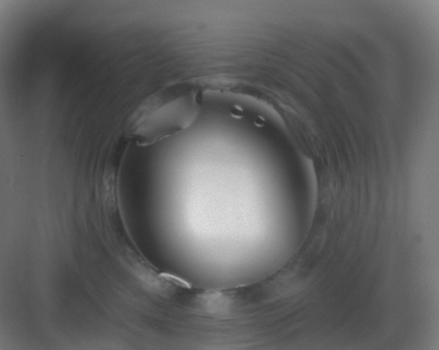 X0000083020425200702091322