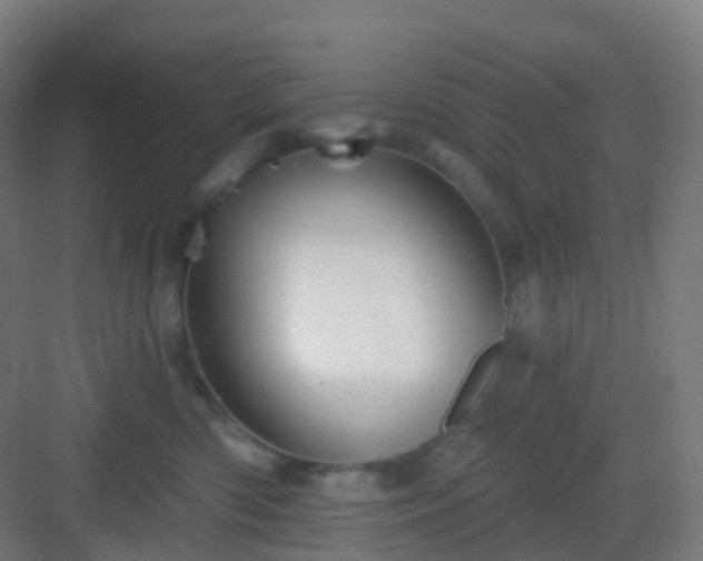 X0000083020426200702091322
