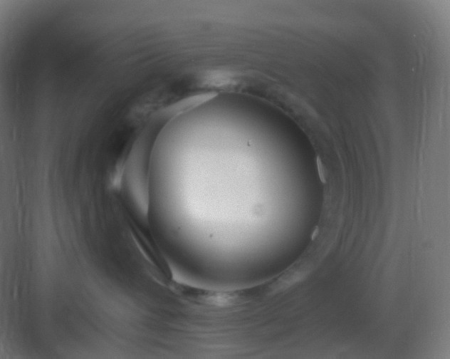 X0000083020432200702091322