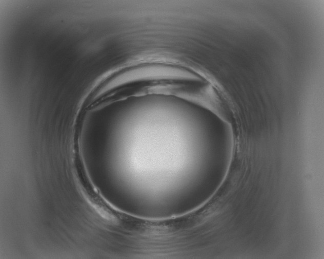 X0000083020438200702091321