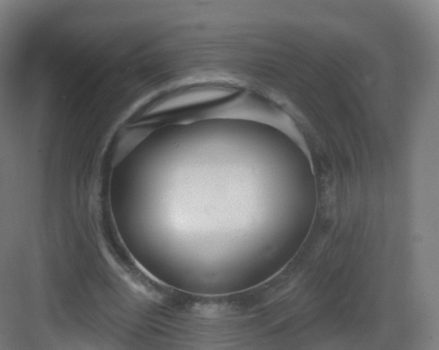 X0000083020440200702091321