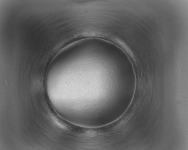 X0000083020441200702091321