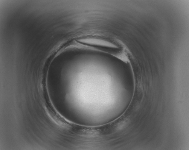 X0000083020443200702091321