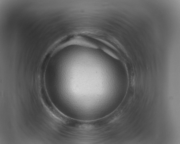 X0000083020444200702091321
