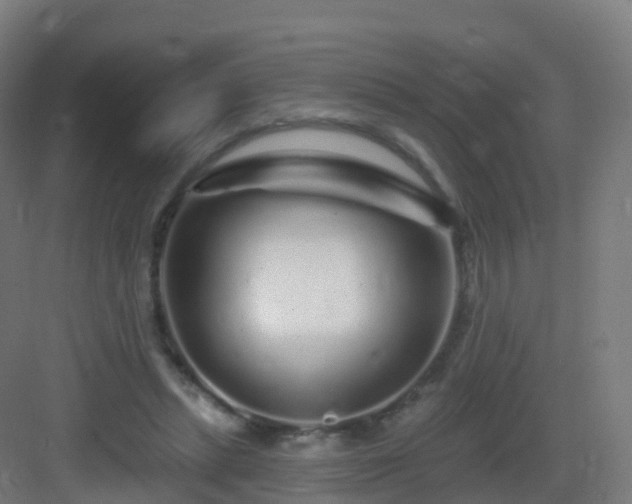 X0000083020447200702091321
